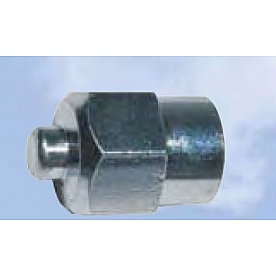 Tru Flate Valve Stem Cap 38712100