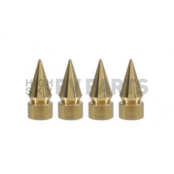 True Spike Valve Stem Cap WVC003CG