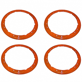 Ford Performance Wheel Rim Guard - M-1021-F15OR