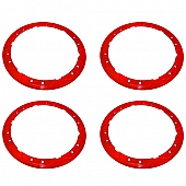 Ford Performance Wheel Rim Guard - M-1021-F15RD