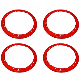 Ford Performance Wheel Rim Guard - M-1021-F15RD