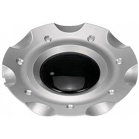 Dorman (OE Solutions) Wheel Center Cap - 909-131