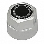 Coast To Coast Wheel Center Cap - KT262C