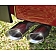 Corsa Performance Exhaust Sport Cat Back System - 14794BLK