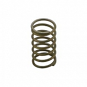 Turbo Smart Turbocharger Wastegate Spring - TS-0550-3089