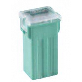 Bussman Fuse BPFLS30RP