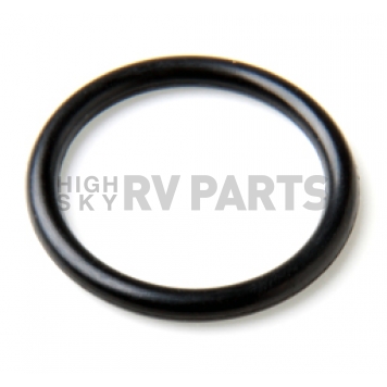 N.O.S. Nitrous Oxide Bottle Valve O-Ring - 16200NOS