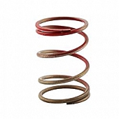 Turbo Smart Turbocharger Wastegate Spring - TS-0550-3084