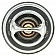 MotorRad/ CST Thermostat 248192JV