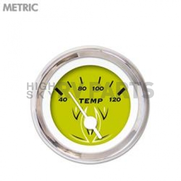 Aurora Instuments Gauge Water Temperature 4713