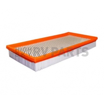 Fram Air Filter - CA3901-1