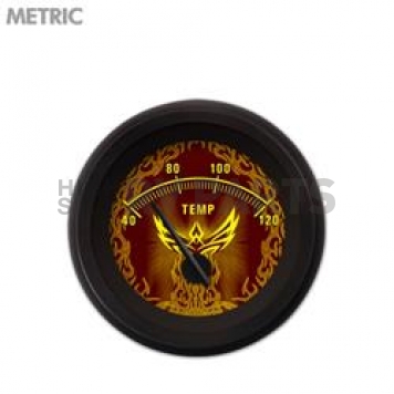 Aurora Instuments Gauge Water Temperature 7374