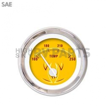 Aurora Instuments Gauge Water Temperature 3841