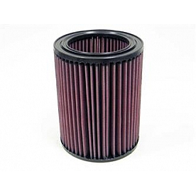 K & N Filters Air Filter - E-2447