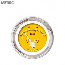 Aurora Instuments Gauge Water Temperature 5725