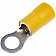 Dorman (OE Solutions) Wire Terminal End 86461