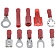 Dorman (OE Solutions) Wire Terminal Assortment 86500