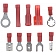 Dorman (OE Solutions) Wire Terminal Assortment 86500