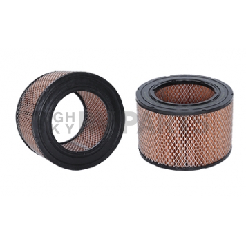 Wix Filters Air Filter - 42165