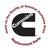 Cummins Power Generation Fuse - 5410927