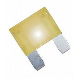 Valterra Fuse IF122