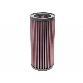 K & N Filters Air Filter - E-2876