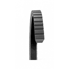 Dayco Products Inc Accessory Drive Belt 17770