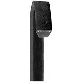 Dayco Products Inc Accessory Drive Belt AP40
