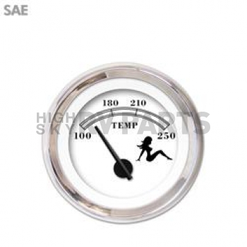 Aurora Instuments Gauge Water Temperature 1555