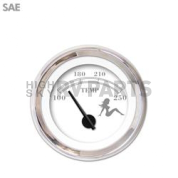 Aurora Instuments Gauge Water Temperature 1588