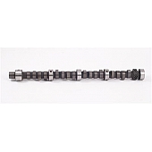 Crane Camshaft 253941