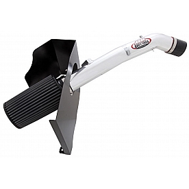 AEM Induction Cold Air Intake - 21-8019DP