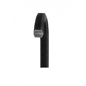 Dayco Products Inc Accessory Drive Belt CC300