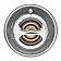 MotorRad/ CST Thermostat 233192JV