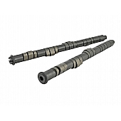Skunk 2 Camshaft 305050145