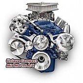 March Performance Serpentine Belt Conversion Kit 30168