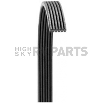 Dayco Products Inc Serpentine Belt 6070817