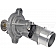 Dorman (OE Solutions) Thermostat Housing 9023045