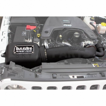 Banks Power Cold Air Intake - 41843D-4