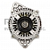 Remy International Alternator/ Generator 13230