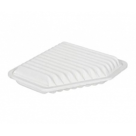 Fram Air Filter - CA10169