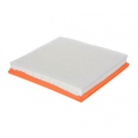Fram Air Filter - CA10989