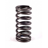 Crane Valve Spring - 9684216