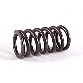 Crane Valve Spring - 9684416