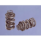 Crane Valve Spring - 9684916