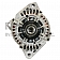 Remy International Alternator/ Generator 12748
