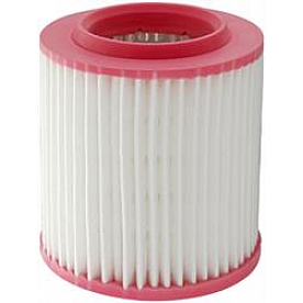 Fram Air Filter - CA10581