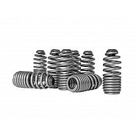 Skunk 2 Valve Spring - 312-05-0200