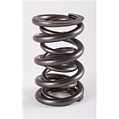 Crane Valve Spring - 96129916