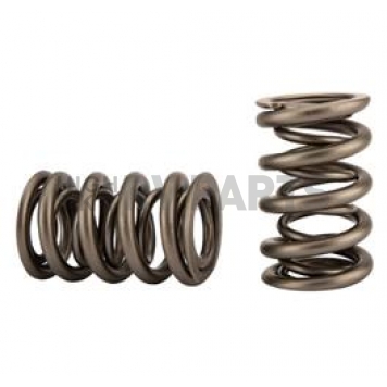 Crane Valve Spring - 9613602